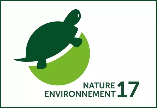 Logo NE17